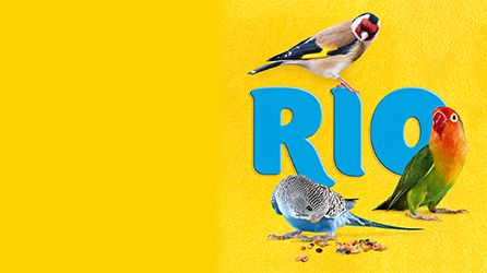 rio