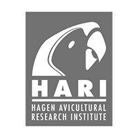 hari